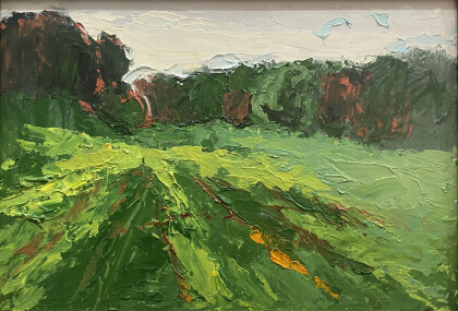 Во Владимирских полях