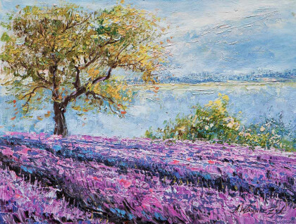 Утренний туман над лавандовым полем