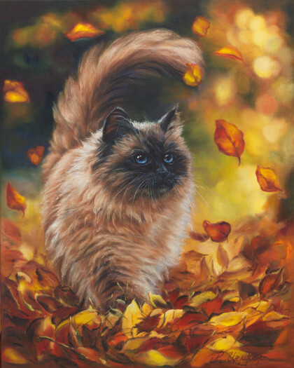 Мой красивый кот