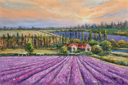 На закате вдыхаю лавандовый запах