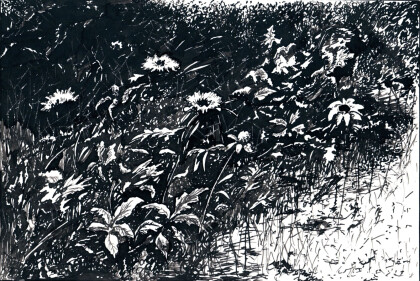 Летний карнавал