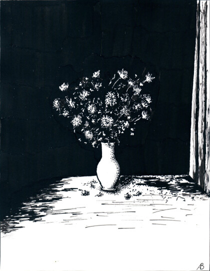 Последние осенние цветы