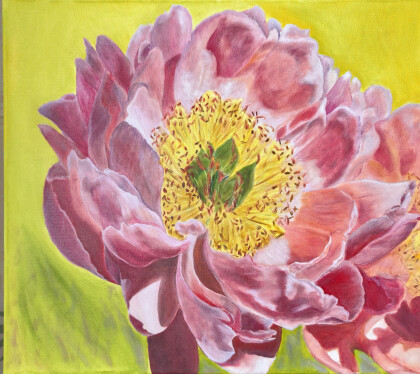 Пион, цветок