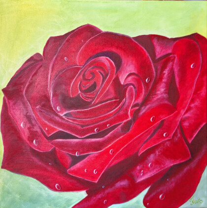 Роза ,цветок