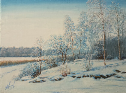 Морозный день на берегу