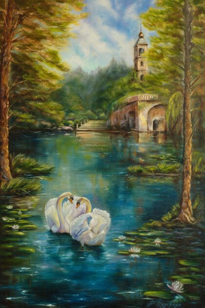 Белые лебеди на озере