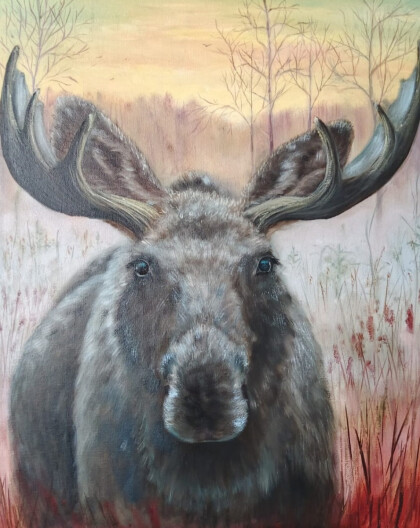 Тайны осеннего болота