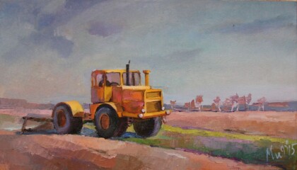 Поля Украины