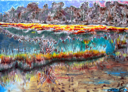 Озёра и болота (4)