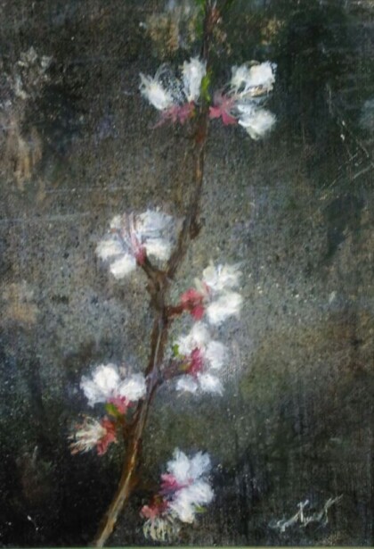 Распустившаяся ветка дерева