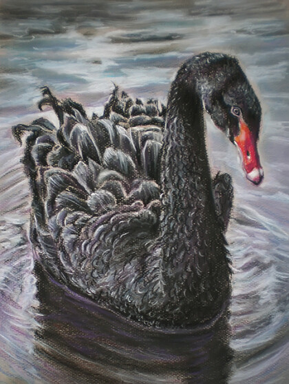 черный на пруду