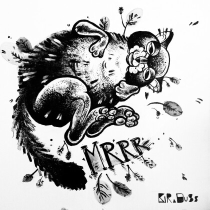 На мягких лапах