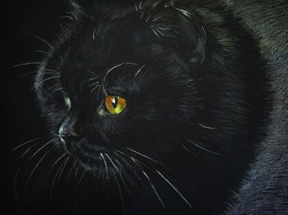 Ночной охотник