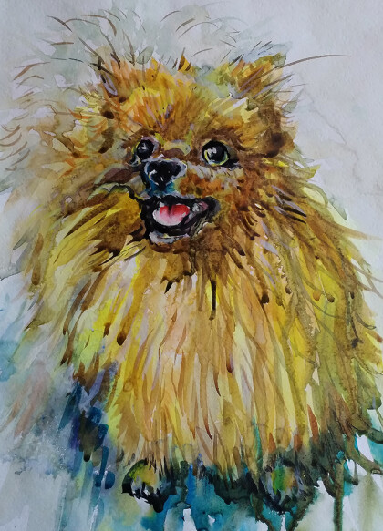 Домашний талисман