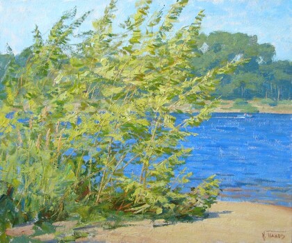 У волжской протоки