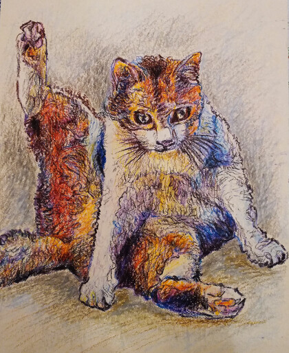 Любопытный