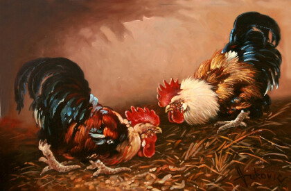 Петушиные бои. Мужской разговор