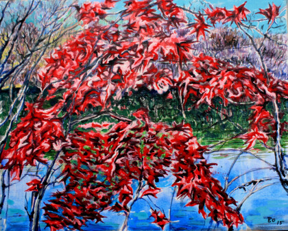 Красная осень в Плейнсборо.