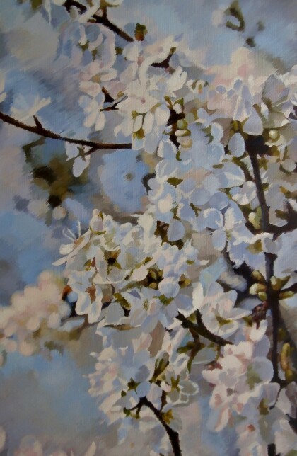 Цветущая вишня