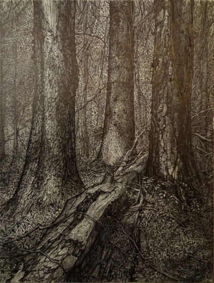 без названия