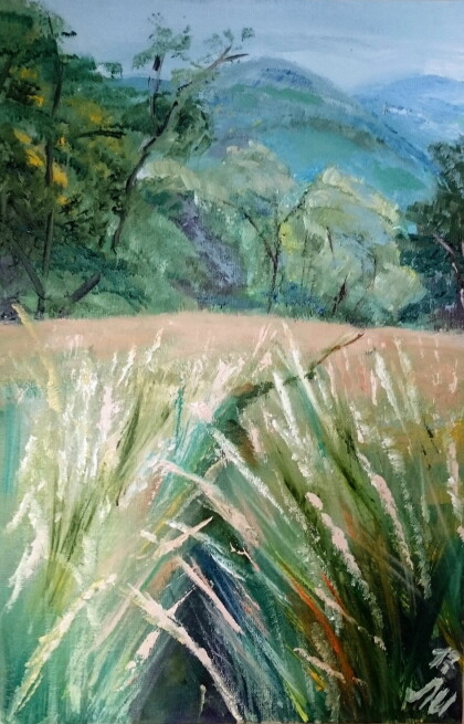 тропинка в высокой траве