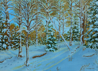 Зимняя сказка