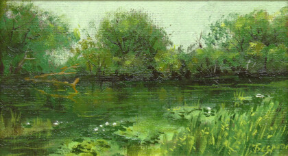 Ряска на реке