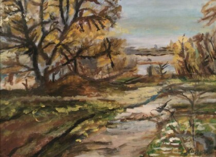 Пезаж на реке Кубань №1