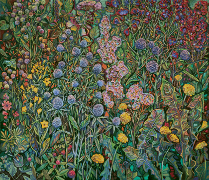 полевые цветы