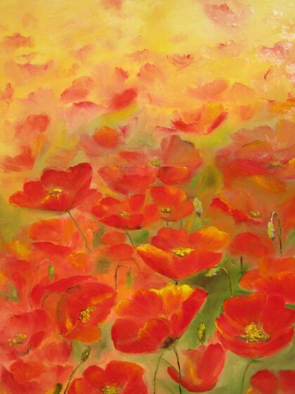 солнечные маки