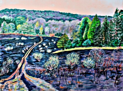 После пожара в горах.