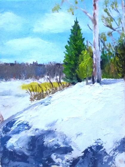 Ель в русском лесу