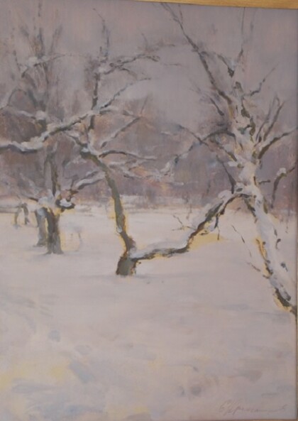 Зима. Яблони в снегу