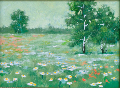 Поле.Ромашки