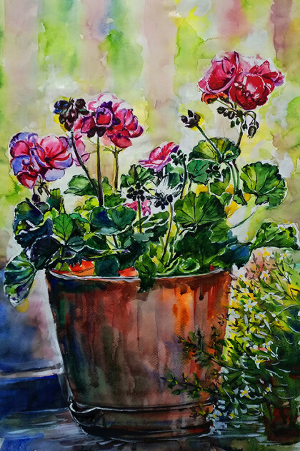 Цветущий подоконник