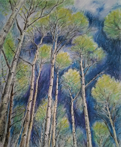 весенние верхушки