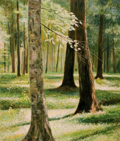 В петергофском парке