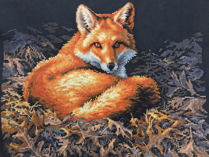 Лиса в лучах солнца