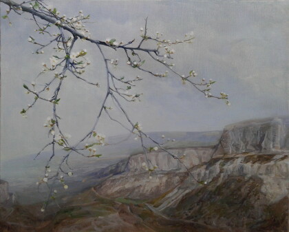 Слива цветет