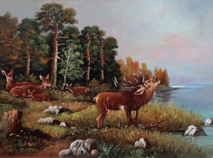 молодые олени на берегу озера