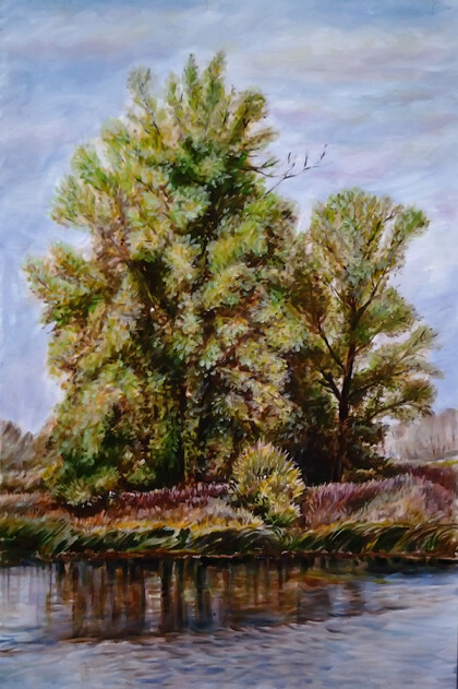 деревья у реки