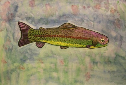 Радужная форель