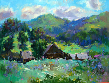 Луга цветут в Ширяево