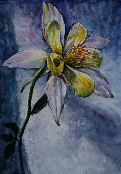 Ночной цветок