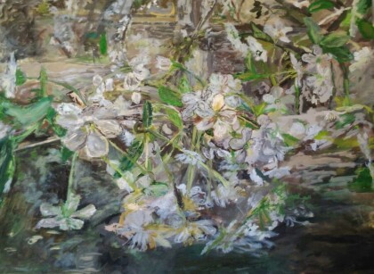 Цветение дерева