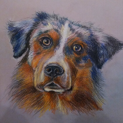 Голова пса (рисунок с фото)