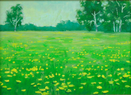 Поле.Одуванчики