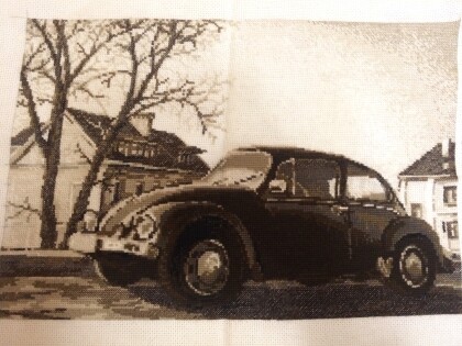 «Старая фотография.Жук»