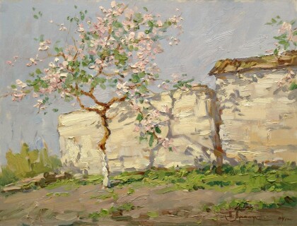 Цветущая яблоня