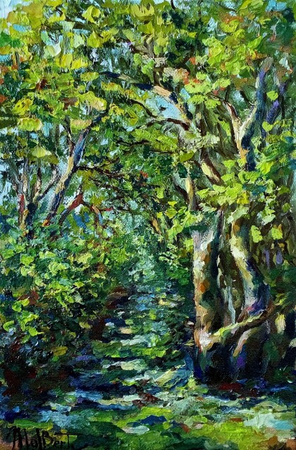 Солнечная погода